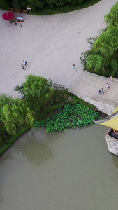 江苏扬州瘦西湖五亭桥风光5A景点视频