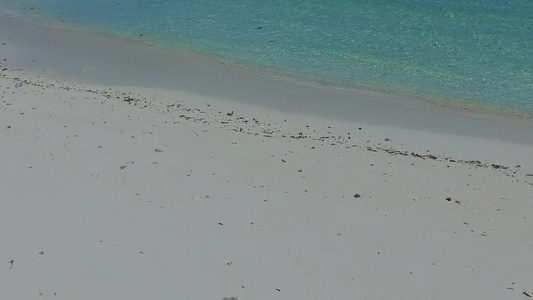 蓝环礁湖和白沙背景的天堂度假胜地海滩野生生物空中旅游视频