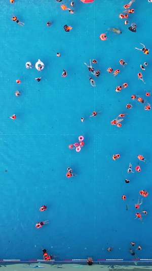 航拍城市夏天消暑降温体育运动游泳亲子素材城市素材77秒视频