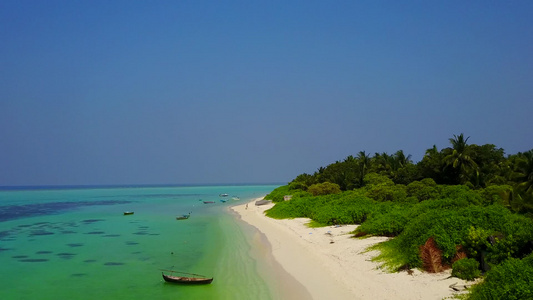 海洋海景海滩野生动物的无人机空中纹理浅泻湖和明亮的视频