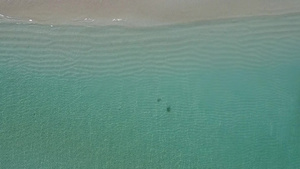 透明的海面和清洁沙地背景的热带海岸线海滩假日热带无人驾驶12秒视频