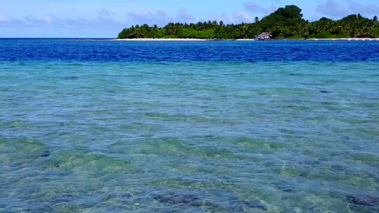 蓝绿海和清洁沙地背景海洋海岸野生生物的空中无人驾驶视频