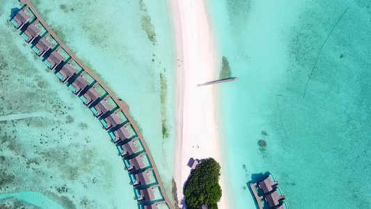 以透明的环礁湖和白色沙滩背景观察海滩野生生物的天堂视频