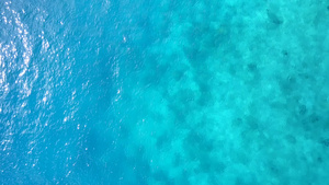 干净沙质背景的蓝色泻湖天堂湾海滩野生动物的无人机空中11秒视频