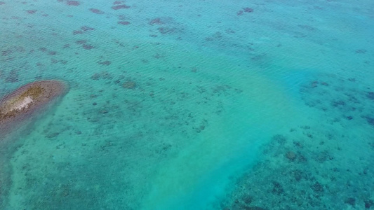 白沙背景蓝海海岸海滩野生动物的无人机空中海景视频