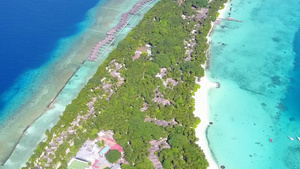 白沙背景绿松石水对热带海岸海滩野生动物的无人机质地11秒视频