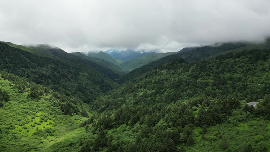 航拍高山森林自然风光视频