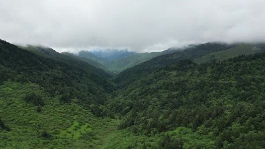 航拍高山森林自然风光视频