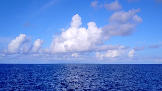 以清水和清洁沙土背景观察完美的海岸海滩野生生物的完美视频