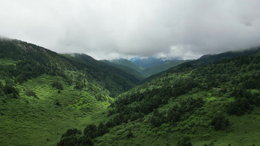 航拍高山森林自然风光视频