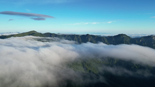 航拍高山森林山谷云海视频