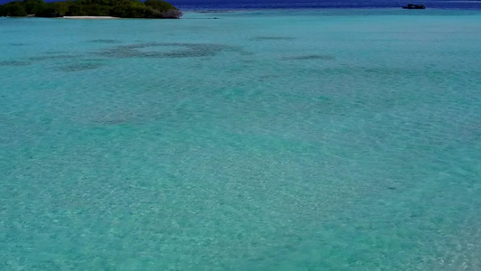 豪华环礁湖海滩野生生物通过白沙背景的清海空中无人驾驶视频