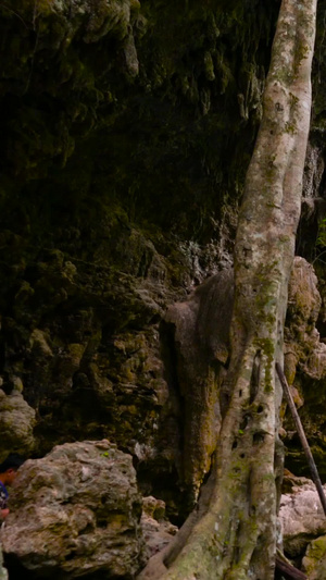 五彩斑斓的瀑布实拍合集森林瀑布59秒视频