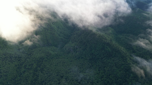 航拍高山森林山谷云海视频