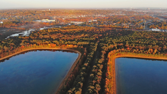 秋叶的颜色和湖水位接近清晨秋视频