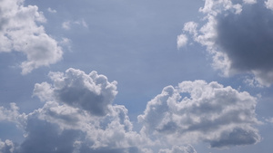 云的美丽是美丽的鸟儿在天上飞翔在白昼明亮61秒视频