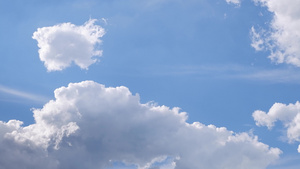 云在迅速移动鸟儿在天上飞翔在白天明亮的天空中59秒视频