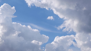 云在迅速移动鸟儿在天上飞翔在白天明亮的天空中60秒视频