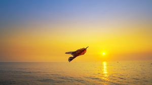 紧紧的彩色玩具风筝在空中高飞与海边金黄日落天底太阳12秒视频