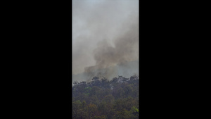 森林火灾灾害正在由人类造成的燃烧17秒视频