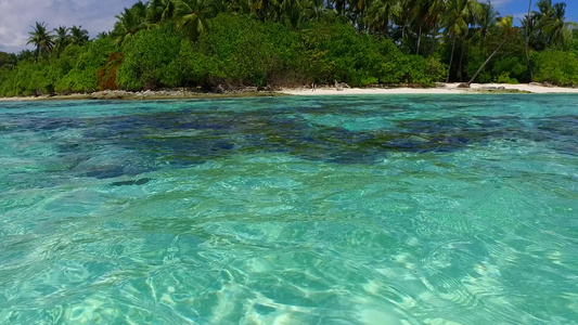 浅海和棕榈附近的白色沙滩背景的田园诗般的海岸海滩度假视频