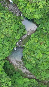 贵州户外森林航拍视频视频