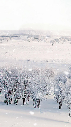 冬季雪景视频素材背景视频10秒视频