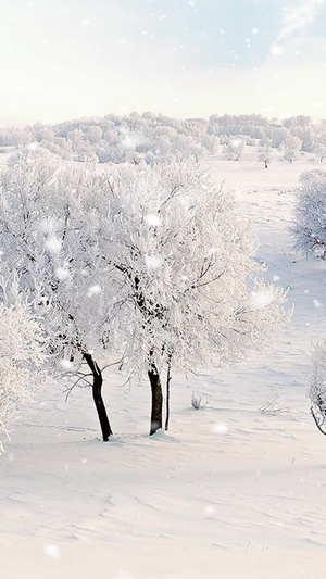 冬季雪景视频素材雪花背景10秒视频