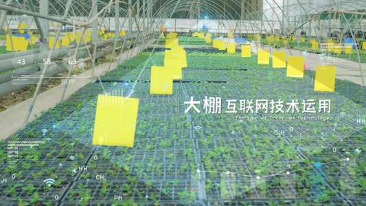 农业种植管理大数据展示AE模板视频