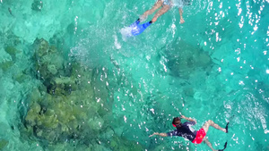 棕榈附近沙滩背景明亮的浅海浅水放松环礁湖海滩生活方式12秒视频