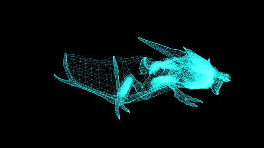 3D电线框架神秘野兽的动画在黑色背景下运行视频