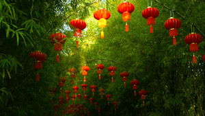 传统式的红灯笼挂在竹树形成的拱门上21秒视频
