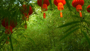 传统式的红灯笼挂在竹林里26秒视频