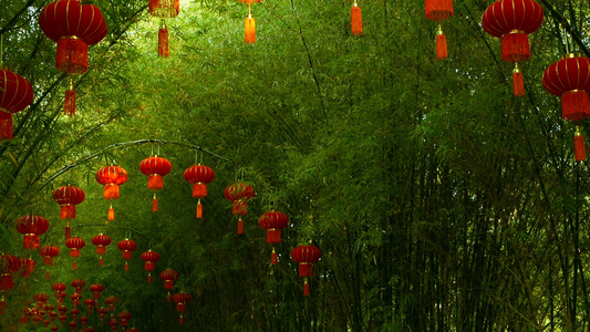中国传统式的红灯笼挂在竹树隧道拱门上上面有几条长成视频