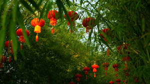 传统式的红灯笼挂在竹树形成的隧道拱门上17秒视频