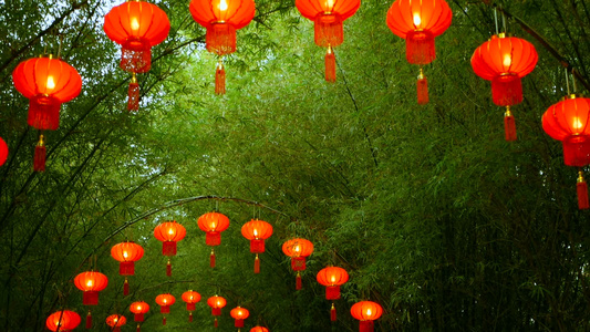 传统式的红灯笼挂在竹树隧道拱门上上面有几条长成视频