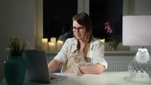 晚上和猫一起在家庭办公室笔记本电脑前工作23秒视频