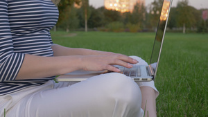 戴墨镜的年轻白种女人坐在草坪上在绿色城市公园的笔记本电脑20秒视频