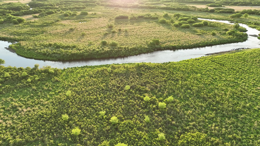 河流湿地晨景视频