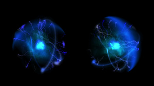 两个电动原子4k11秒视频