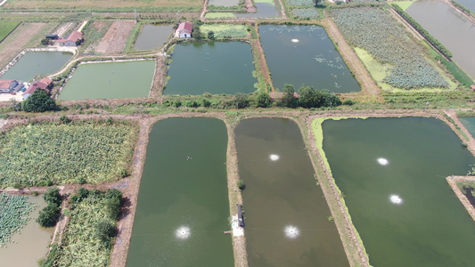 农业养殖基地鱼塘航拍视频视频