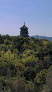 【旅游宣传片浙江杭州西湖雷峰塔杭州雷峰塔景区视频