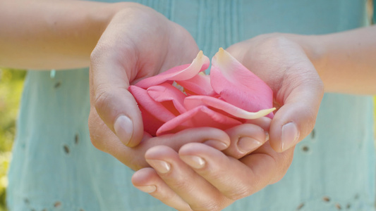 女性手中的粉红玫瑰花瓣视频