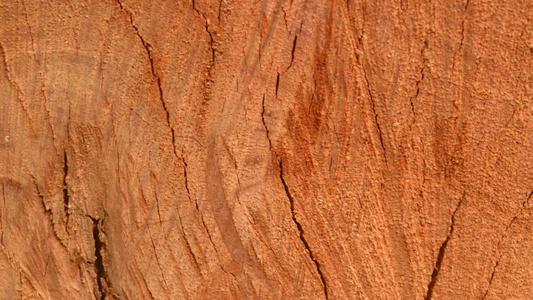 棕色胶合板木表面复古松硬木背景一棵粗糙的树的旧风化视频