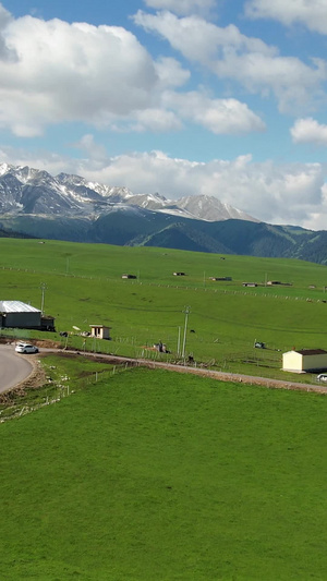 航拍蓝天白云下的天然高山草原牧场视频自驾旅游47秒视频