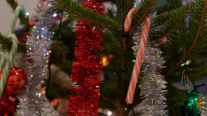 大麦甘蔗挂在圣诞树上两音糖果手杖糖果扭曲的圣诞手杖50秒视频