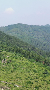 夏季的仰天山山峰及森林航拍视频自然风光视频