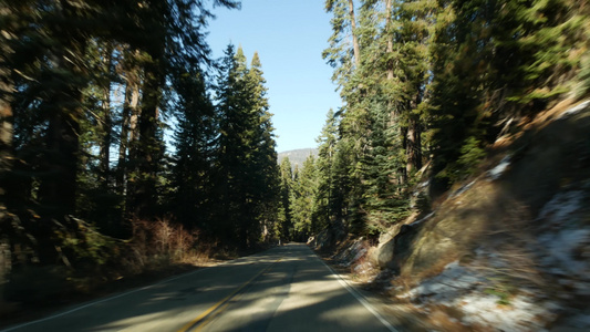 在红杉林中驾驶汽车从汽车的透视图国王峡谷附近的大红杉视频