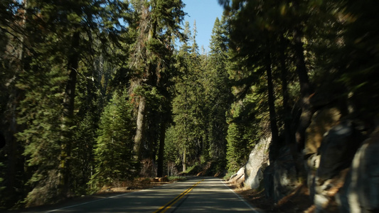在红杉林中驾驶汽车从汽车的透视图国王峡谷附近的大红杉视频