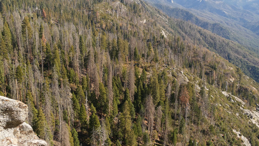从美国北加利福尼亚州红杉森林国家公园摩洛岩的全景俯瞰视频